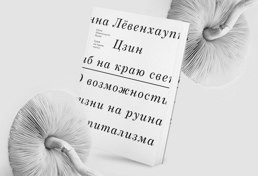 Антрополог Александра Касаткина — о книге Анны Лёвенхаупт Цзин «Гриб на краю света»