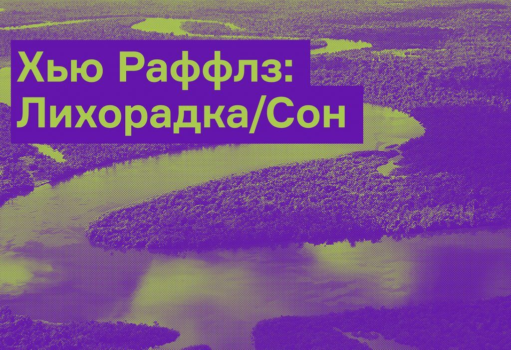 «Лихорадка/Сон» — отрывок из книги «Инсектопедия»