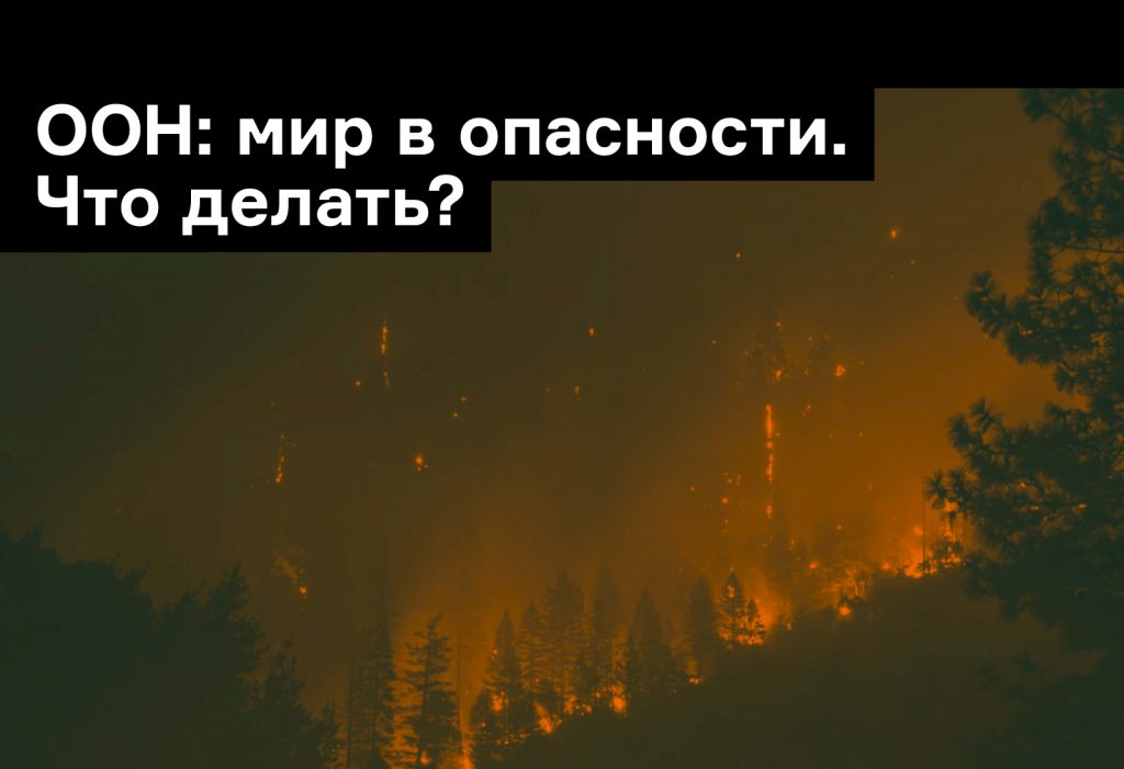 ООН: мир в опасности. Что делать? Узнаем из «От колыбели до колыбели»