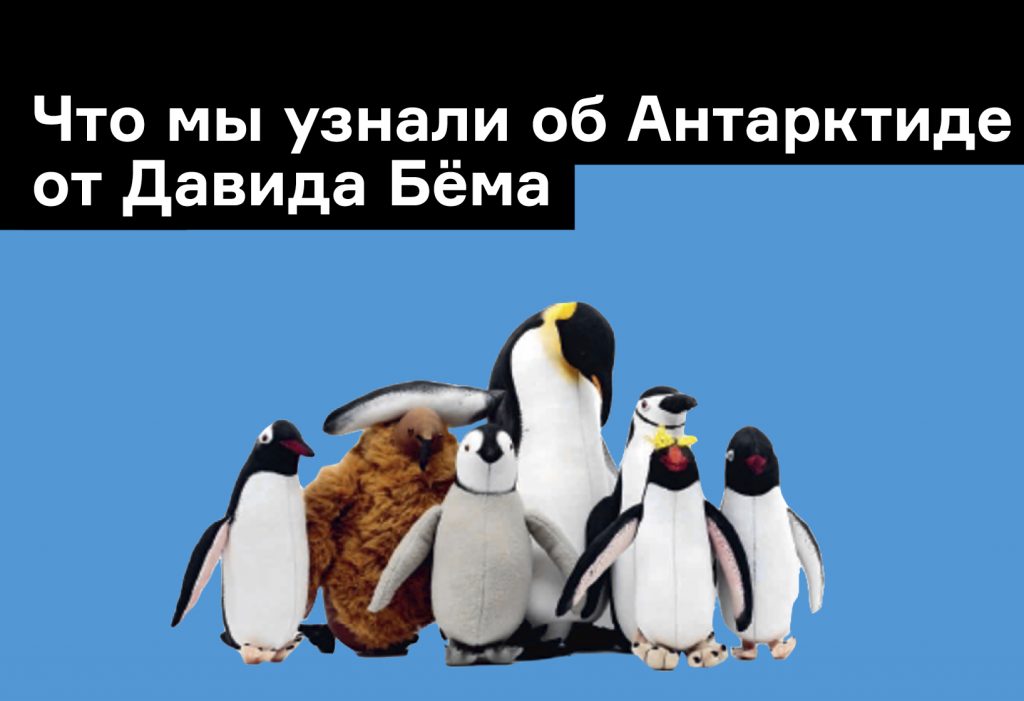 Ледяная скала и самый сухой материк: что мы знаем об Антарктиде